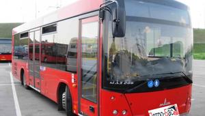 Автобус МАЗ 206 (красный кузов)