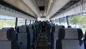 Автобус Daewoo Trumpf Junior (серый салон) - 2