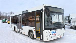 Автобус МАЗ 206 (белый кузов)